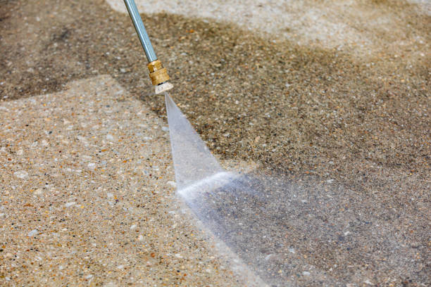 Best Driveway Pressure Washing  in Hamilton, IN